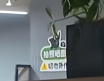 粥游一手八面漏风的保密，让海猫成了今年最惨游戏制作人