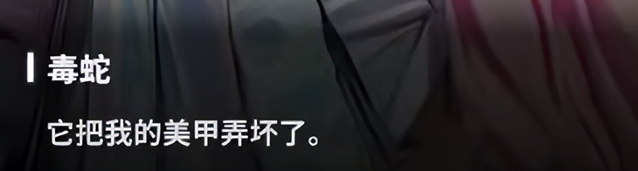 “坏女人”设计教科书！毒蛇为何是人气最高的妮姬之一？