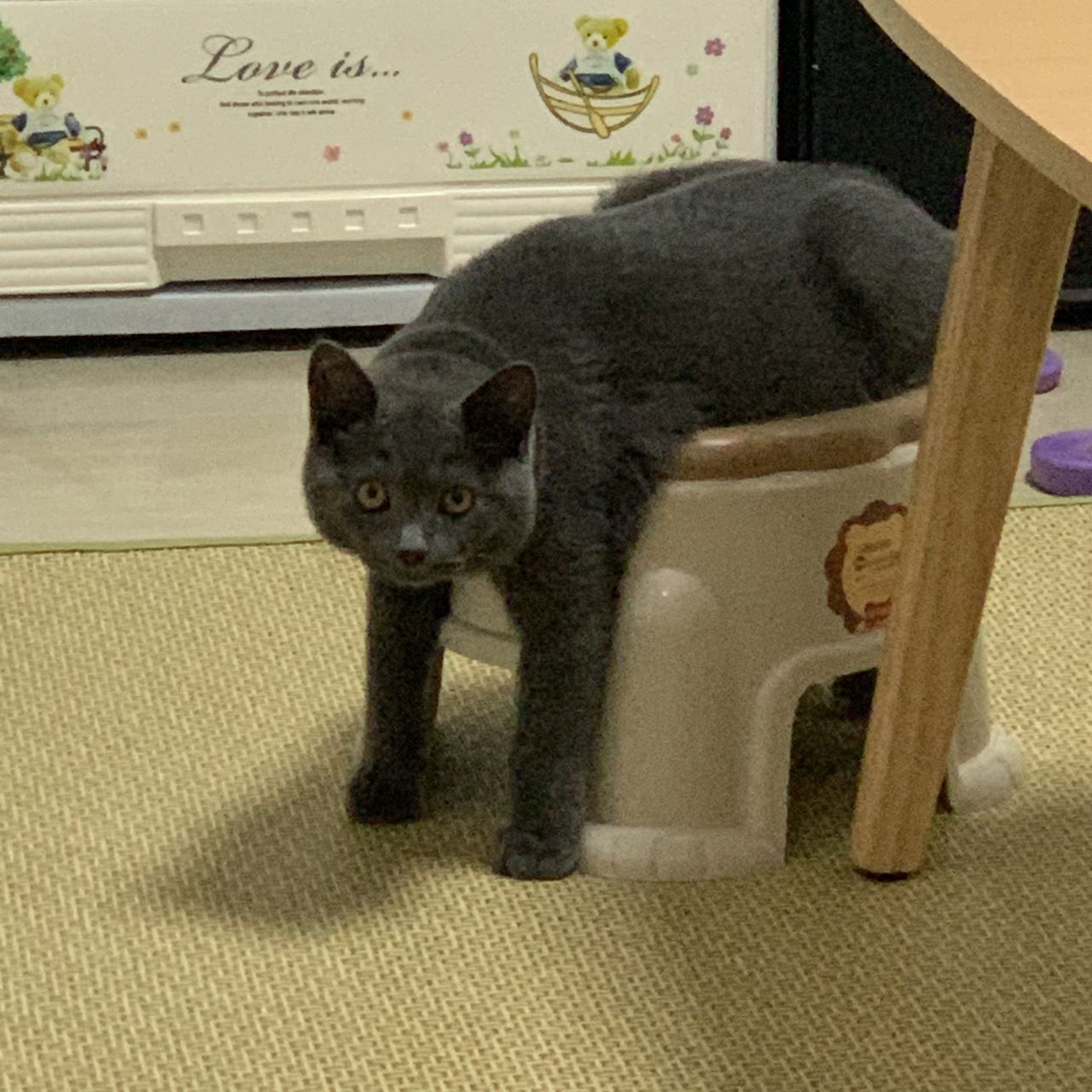 八年让男孩长大，也让热爱延续