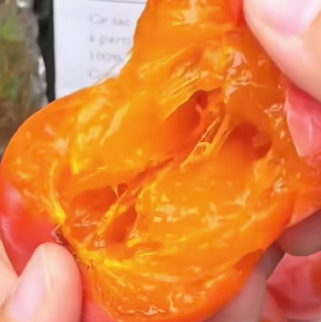 【球盟会】为啥柿子缺点那么多，还是很多人喜欢