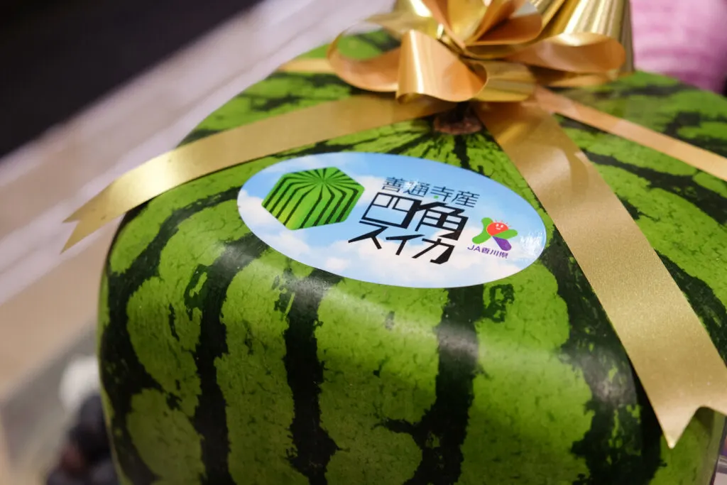 Japan's $200 Square Watermelons That Only Look Good Enough to Eat