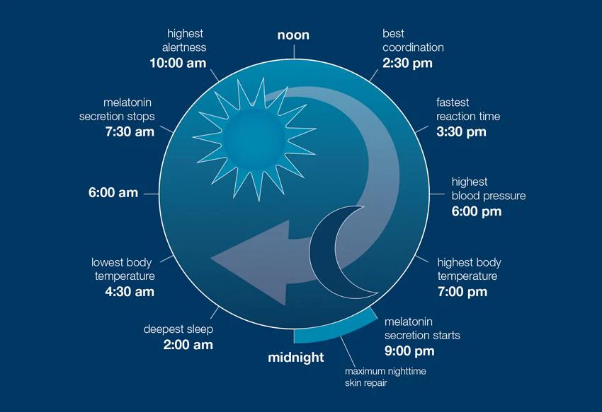 the science of sleep (and skin) – Dermalogica CA