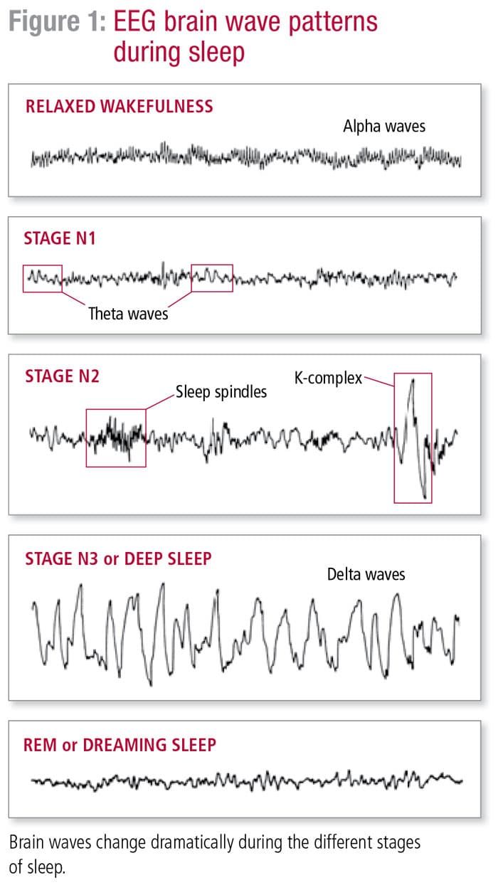 The Stages of Sleep: REM and Non-REM Sleep Cycles