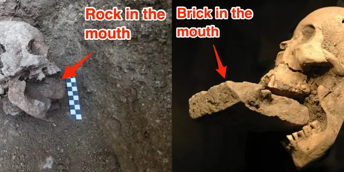 Vampire' Burial With Rock in Mouth Meant to Prevent Rising From Dead - Business Insider