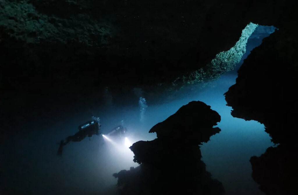 Haloclines: Everything you need to know before diving in the cenotes