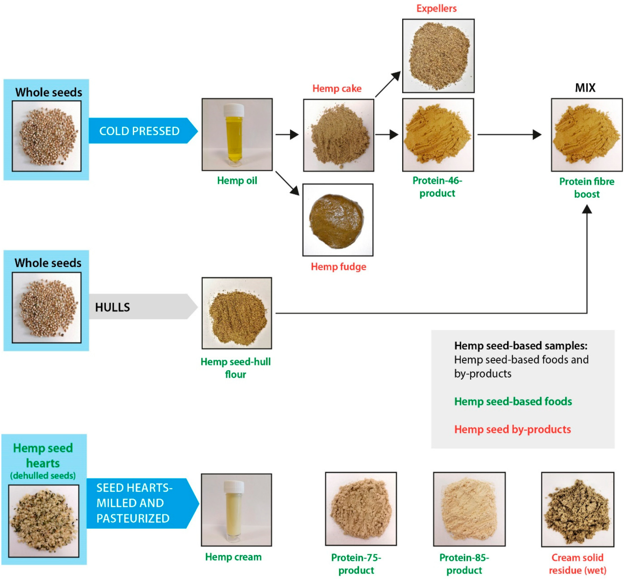 Hemp Seed-Based Foods and Processing By-Products Are Sustainable Rich  Sources of Nutrients and Plant Metabolites Supporting Dietary Biodiversity,  Health, and Nutritional Needs