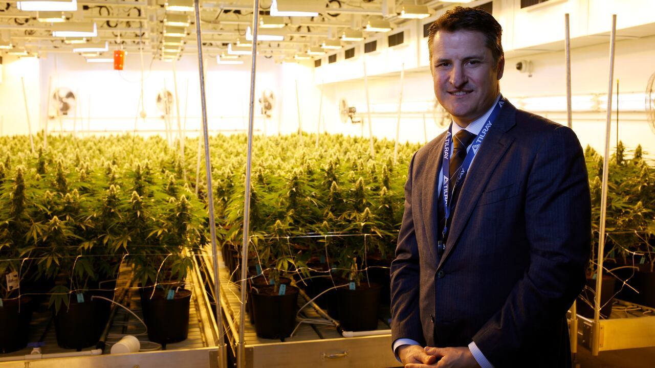 Tilray to acquire hemp foodmaker Manitoba Harvest for up to $419M in U.S.  expansion push | CBC News