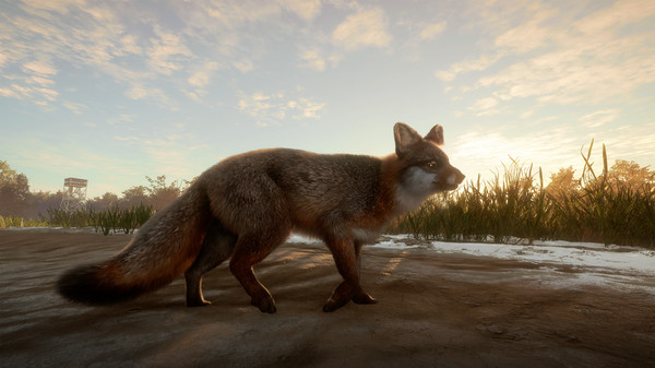 《荒野的召喚》發佈全新DLC：密西西比動物保護區-第4張