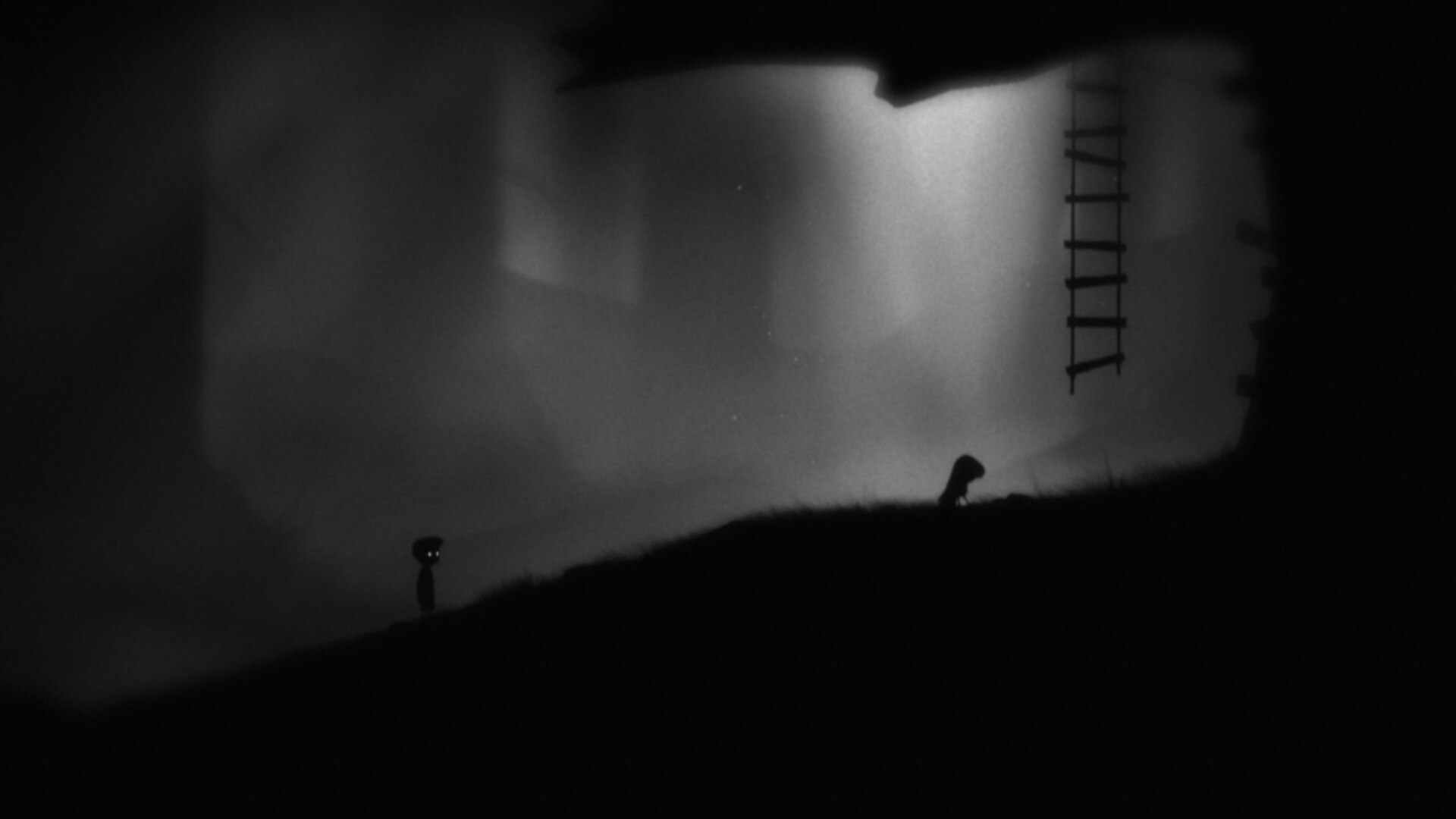 【遊戲綜合】LIMBO：無聲男孩的地獄皮影戲-第6張