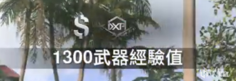 《使命召唤：战区&先锋》枪械经验升级方式总结-第9张