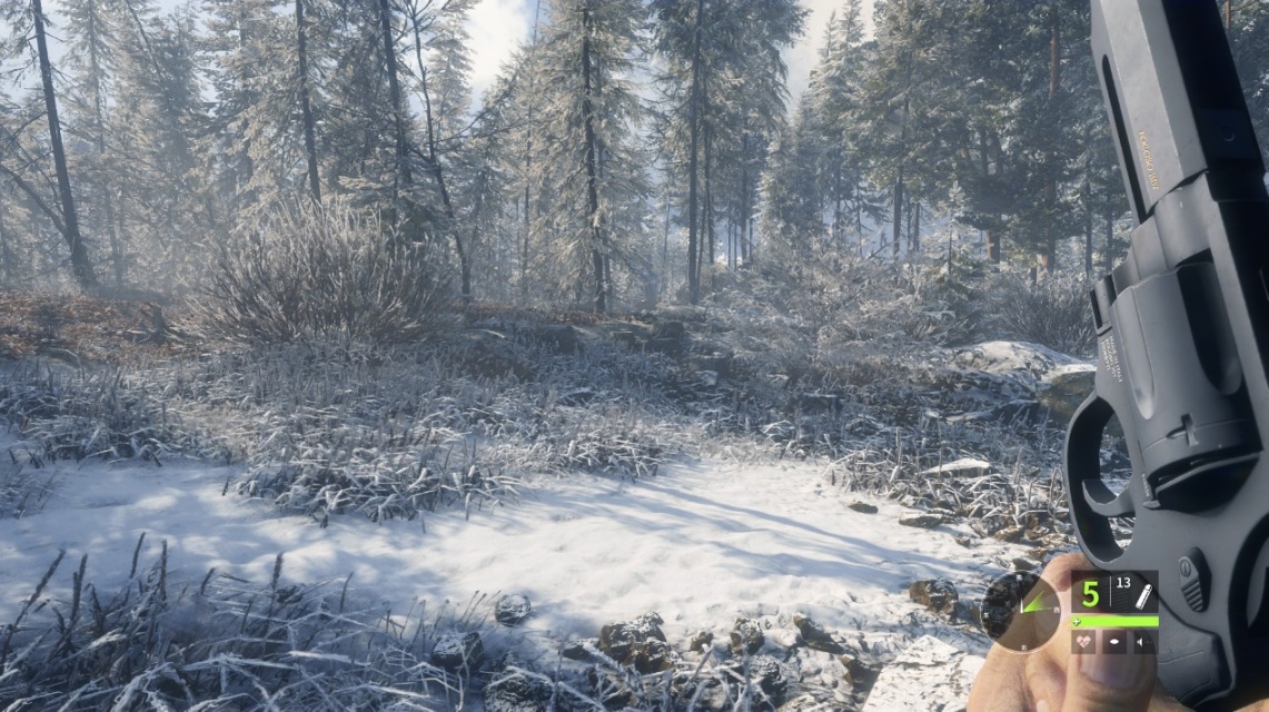 《猎人：荒野的呼唤》：风景优美的“真实狩猎模拟器”
