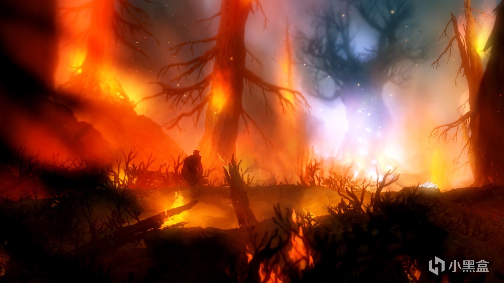 【PC游戏】手残玩家的第一款银河恶魔城游戏——《精灵与黑暗森林》-第13张