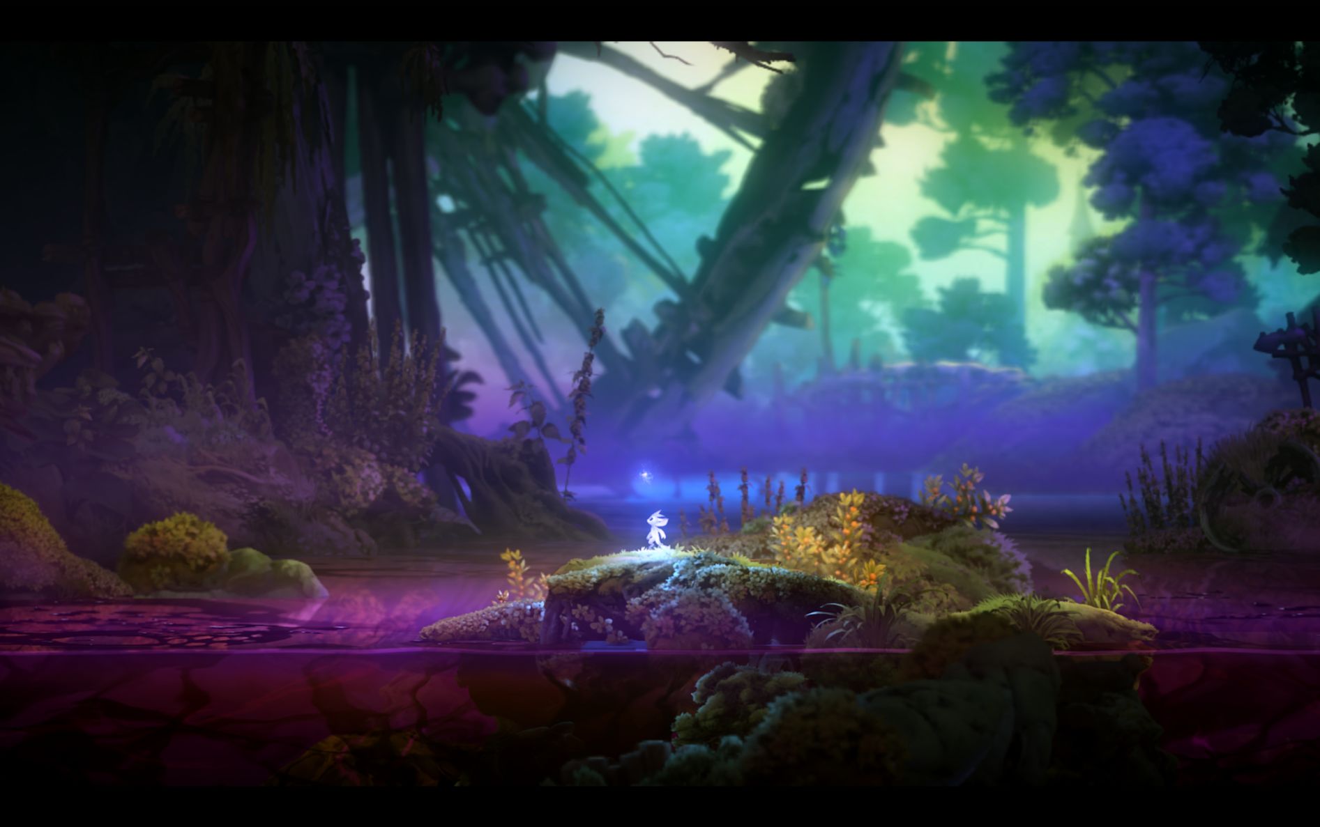 【PC遊戲】奧日2——森林的傳說-第1張
