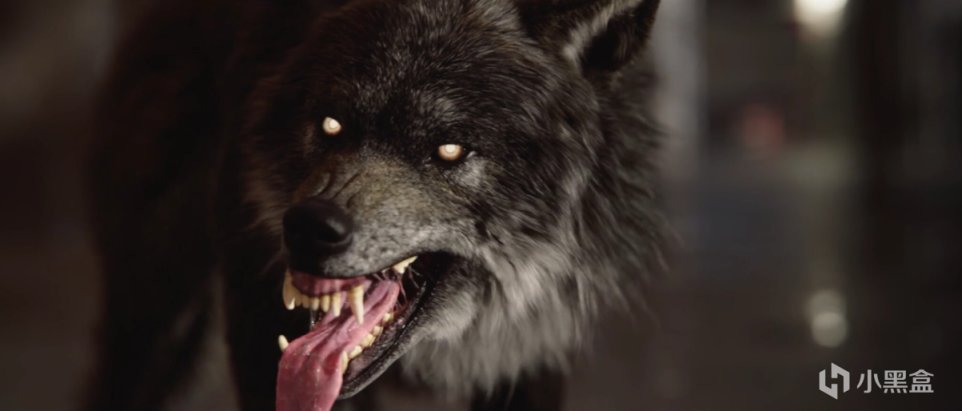 《狼人之末日怒吼：地灵之血》：探探这部IGN4分作品-第4张