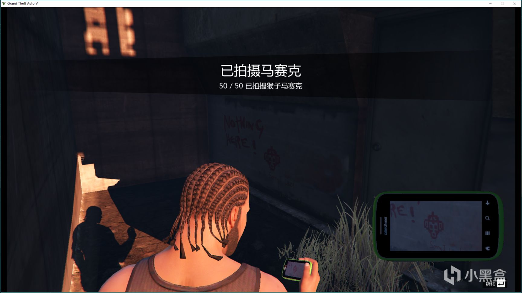 【侠盗猎车手5】GTA Ⅴ 线下故事模式 猴子马赛克艺术画（猴子镶嵌画）拍摄点Ⅰ-第0张