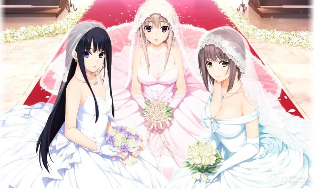 【Gal游戏综合区】我的galgame记录——新妻LOVELY×CATION-第0张