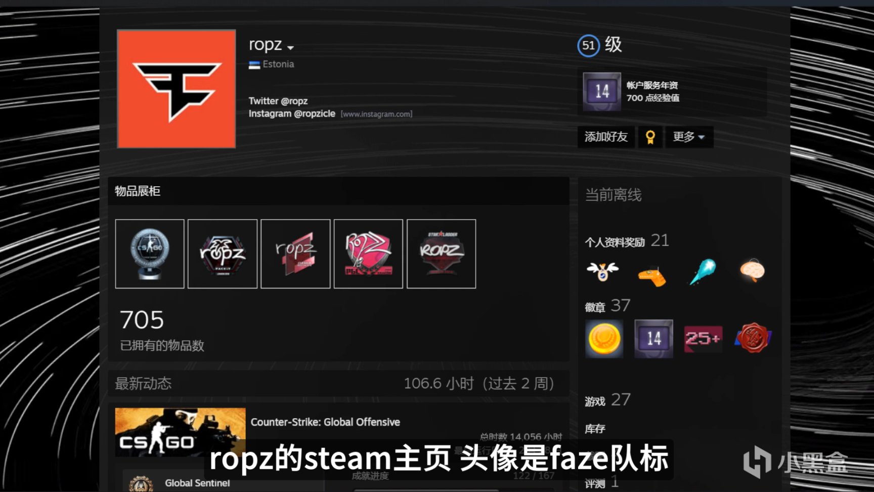 【CS:GO】CSGO职业哥库存饰品盘点 ropz-第0张