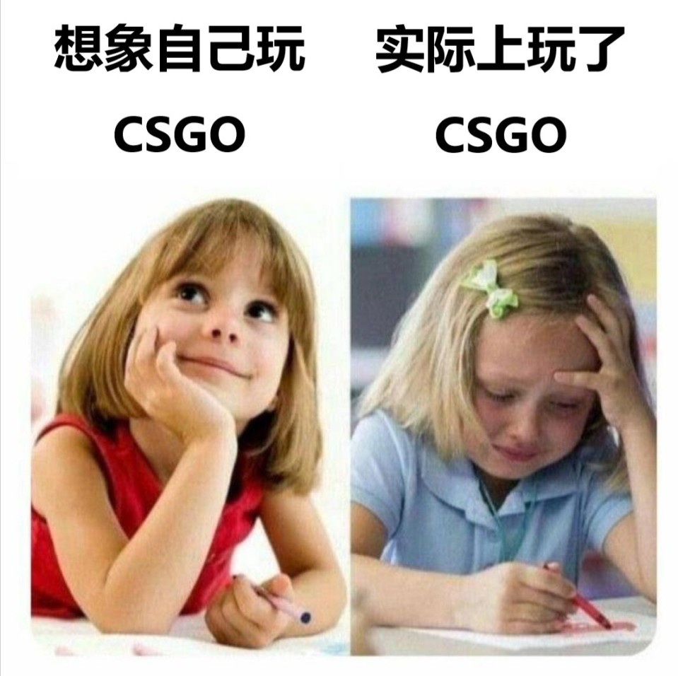 【CS:GO】极度真实笑死人不偿命的CSGO沙雕图0-第9张