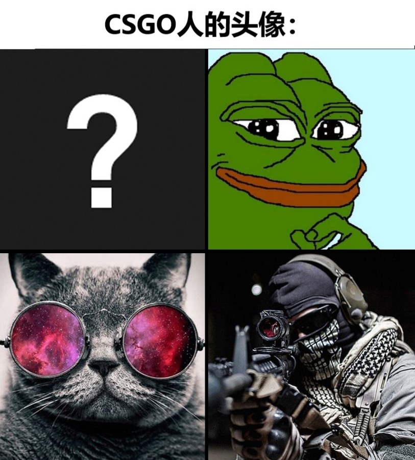 【CS:GO】极度真实笑死人不偿命的CSGO沙雕图0-第20张