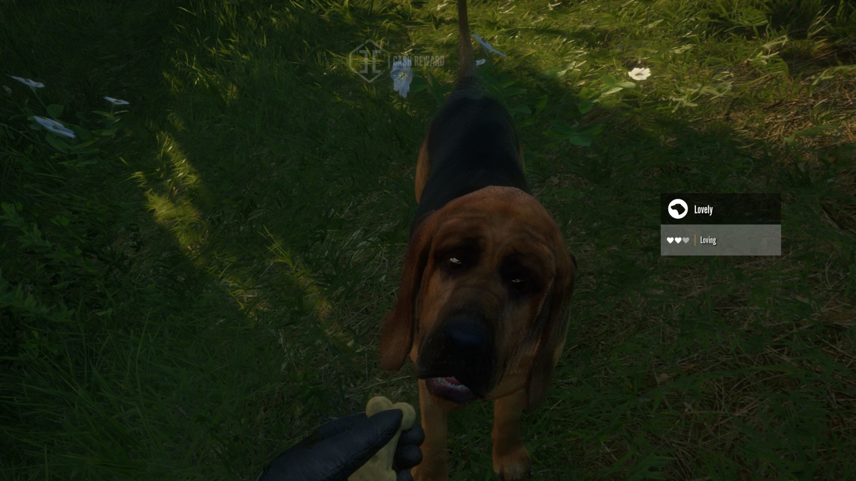 【PC遊戲】我與狗狗在一起狩獵的日子（3）-第19張