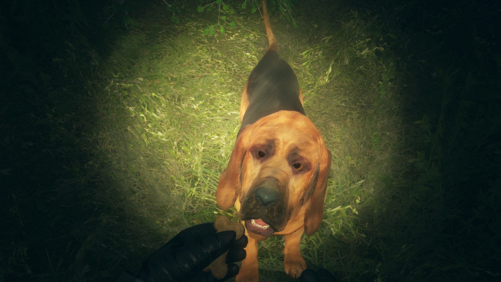 【PC游戏】我与狗狗在一起狩猎的日子（3）-第1张