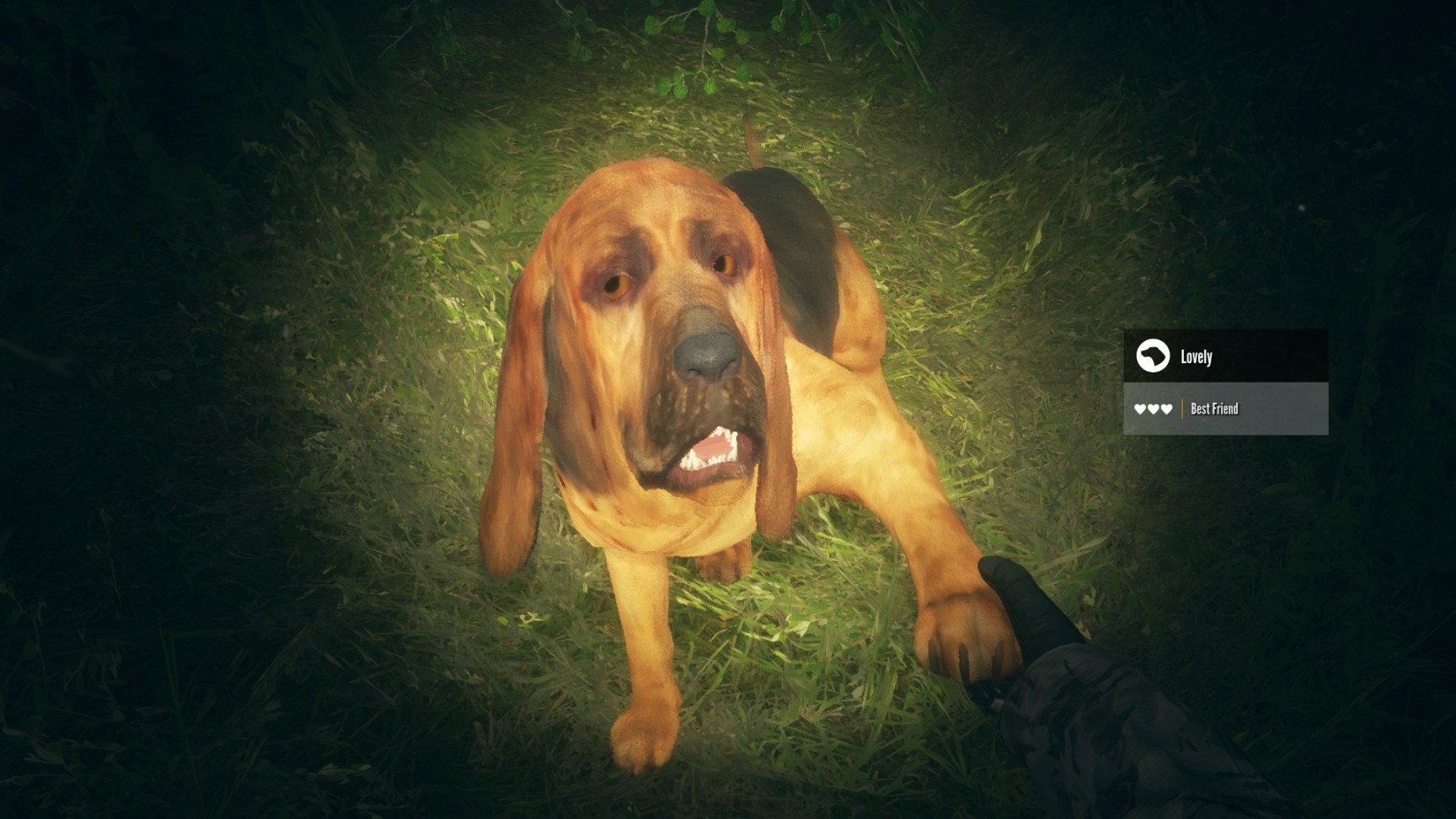 【PC游戏】我与狗狗在一起狩猎的日子（3）