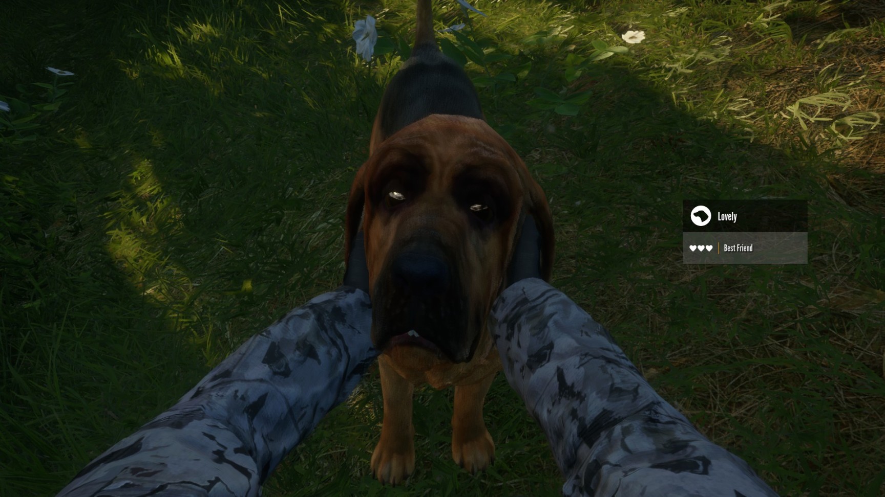 【PC遊戲】我與狗狗在一起狩獵的日子（3）-第20張