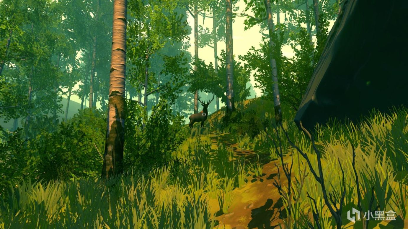 【PC游戏】逃入孤独的森林 净化受伤的心灵-第30张