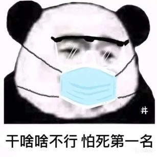 【肉鸽独游】说好的BOSS色稿还是鸽了？那就用原型实录来弥补吧！-第0张