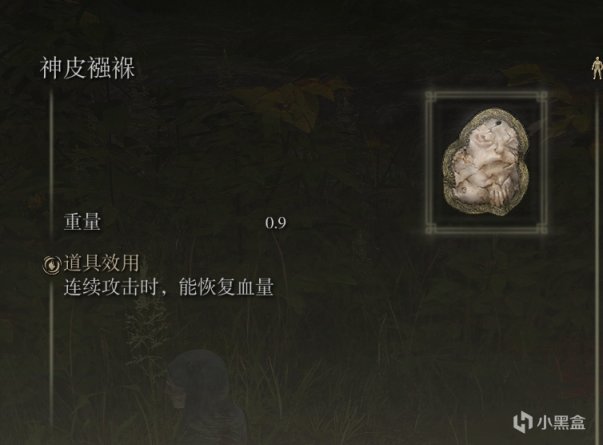 【PC遊戲】來聊聊老頭環的出血流派-第9張