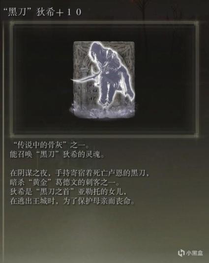 【PC遊戲】仿身淚滴成了憨憨，《艾爾登法環》更新後全傳說骨灰分析-第5張