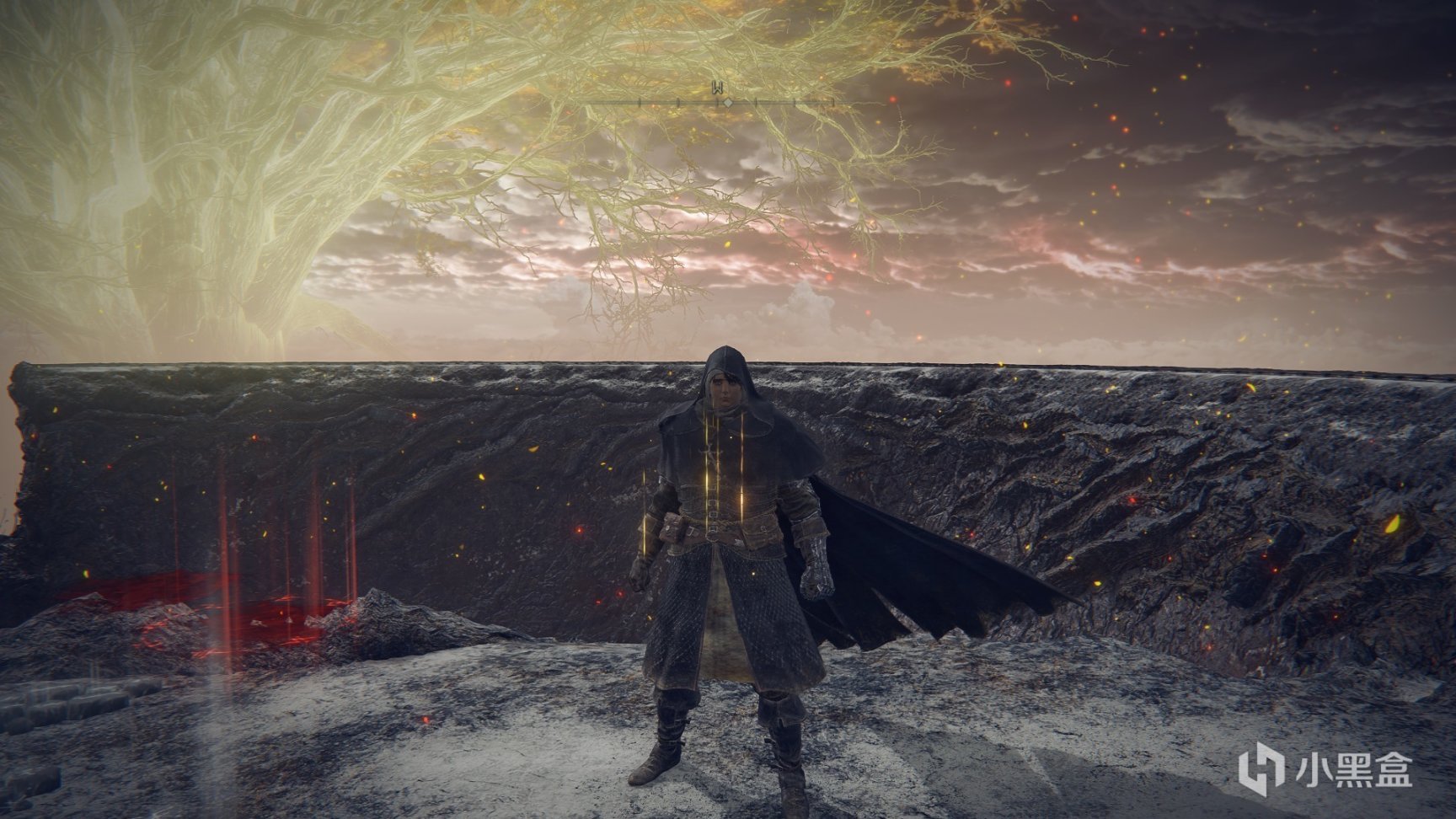 艾尔登法环防具全收集第五期-第31张