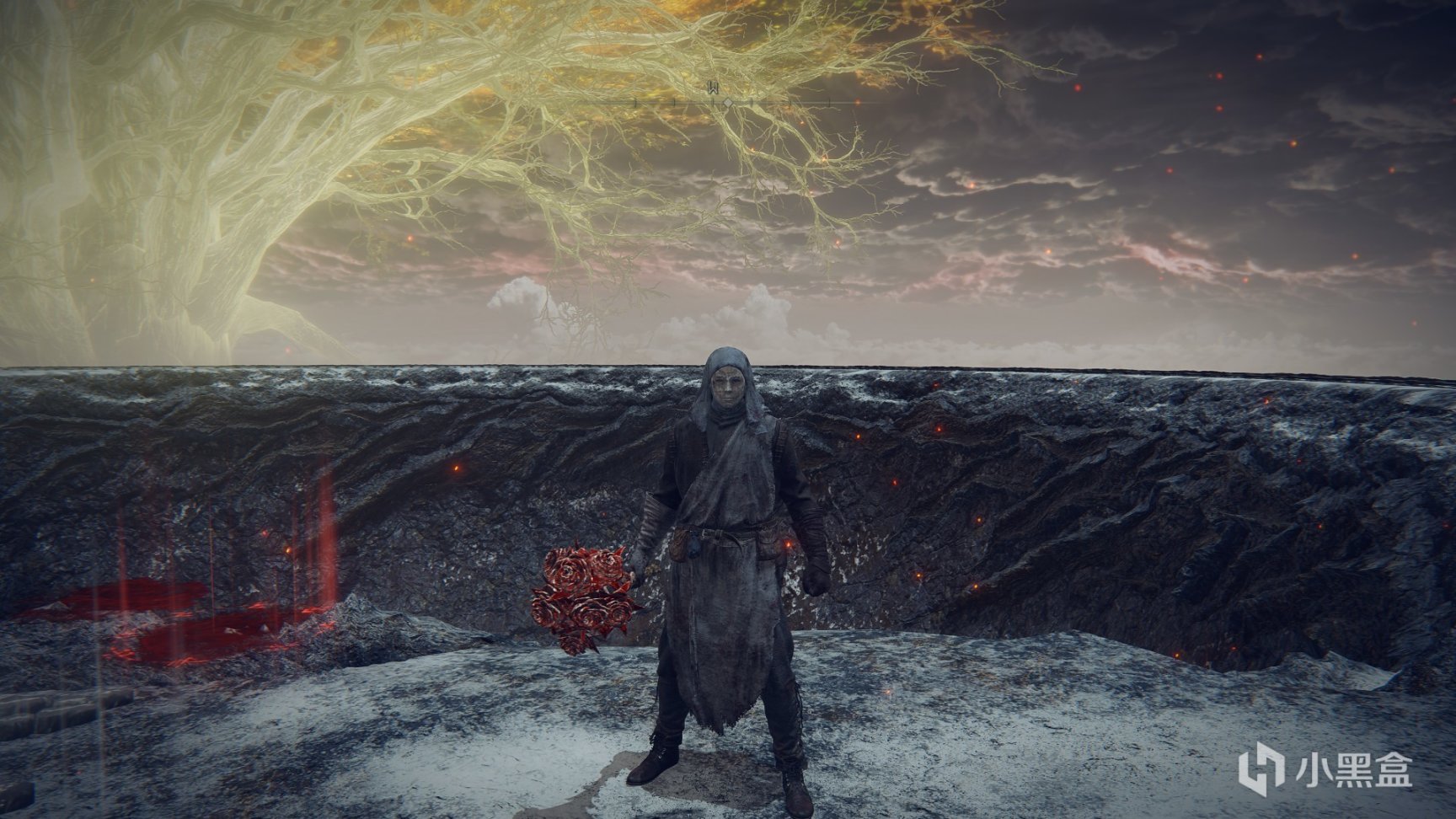 艾尔登法环防具全收集第五期-第16张