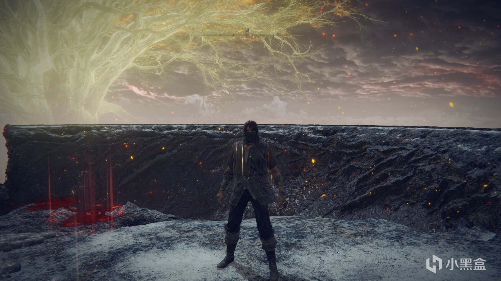 艾尔登法环防具全收集第五期-第25张