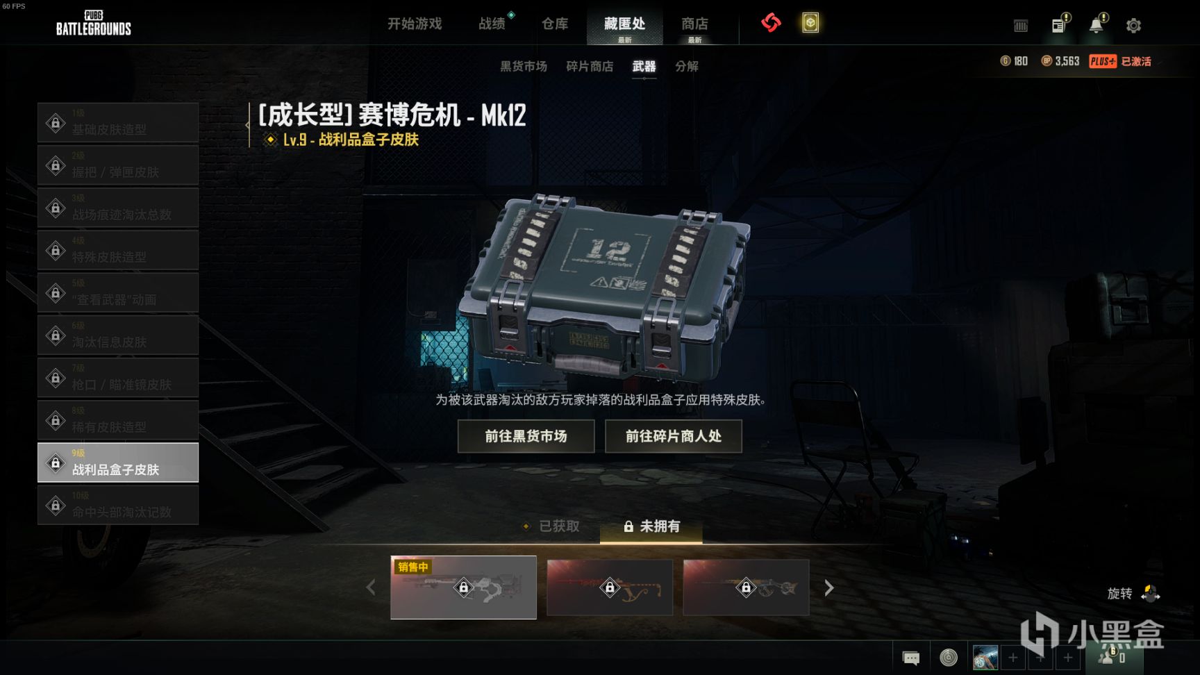 【绝地求生】黑货箱武器箱内一览：MK12-赛博危机上线，你一发入魂了吗？-第9张