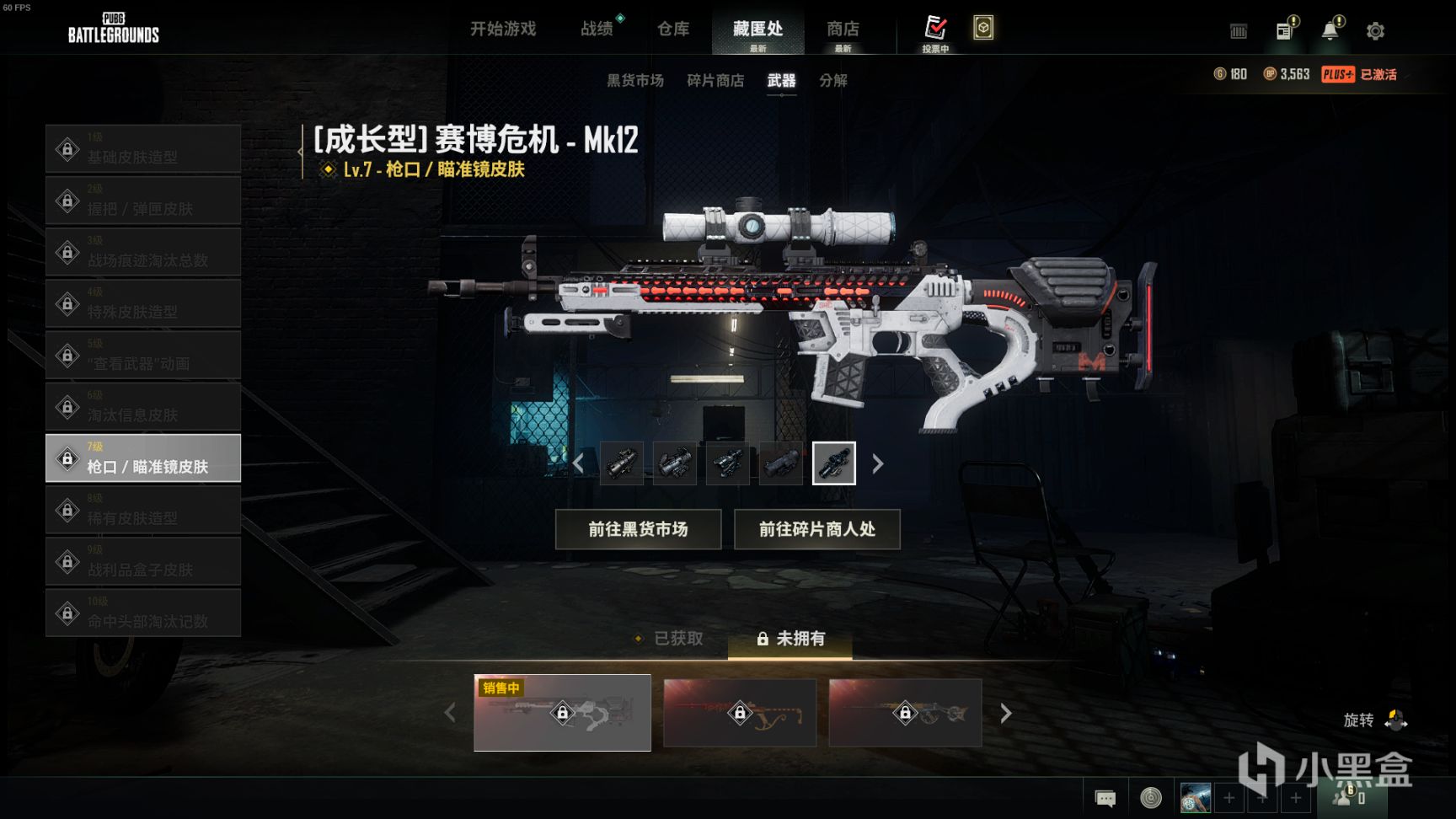 【绝地求生】黑货箱武器箱内一览：MK12-赛博危机上线，你一发入魂了吗？-第7张