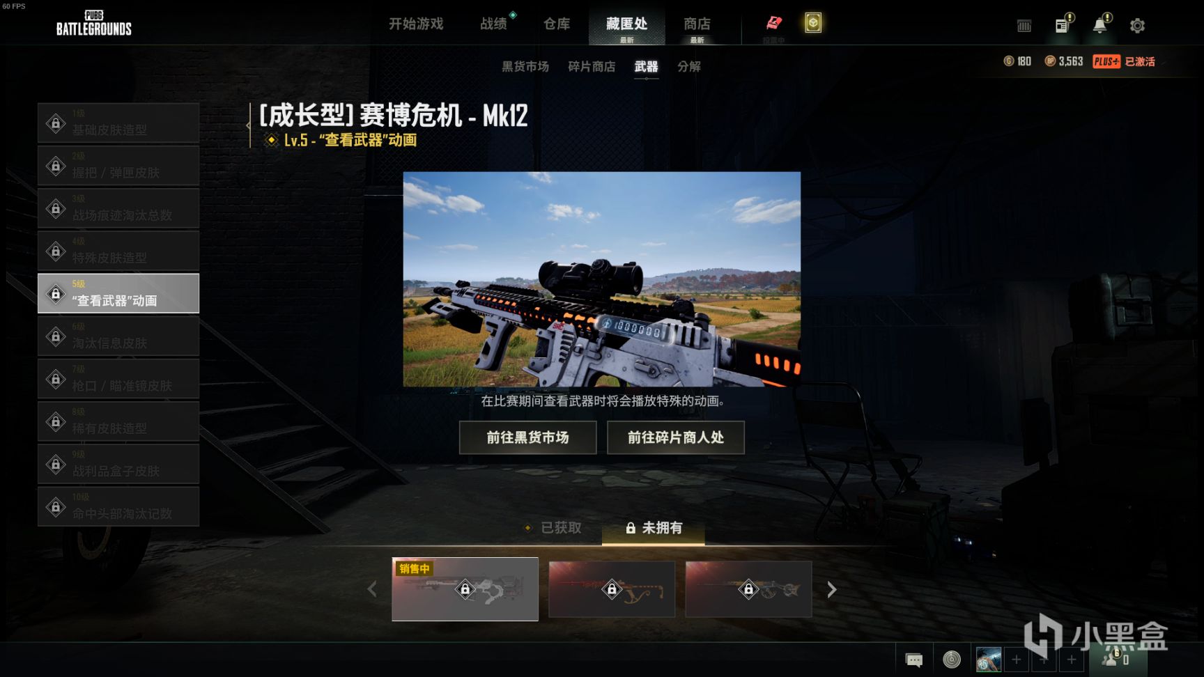 【绝地求生】黑货箱武器箱内一览：MK12-赛博危机上线，你一发入魂了吗？-第5张