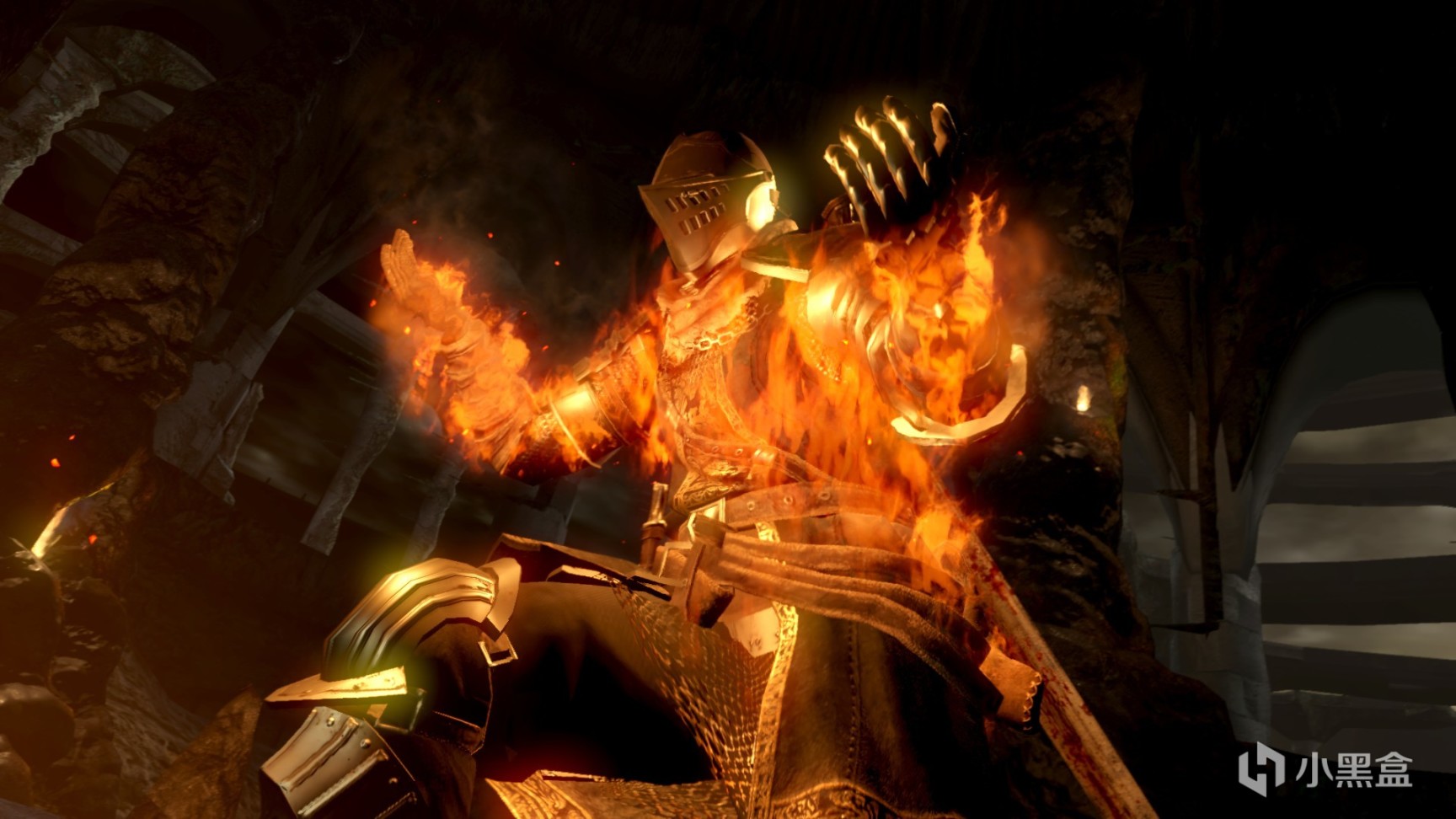 【PC遊戲】來自篝火的力量，讚美太陽！【遊戲補全計劃01】-第9張