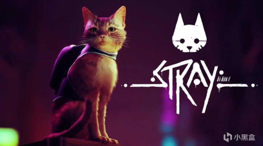 【基德遊戲】《Stray》當鏟屎官晉升為貓主人之時