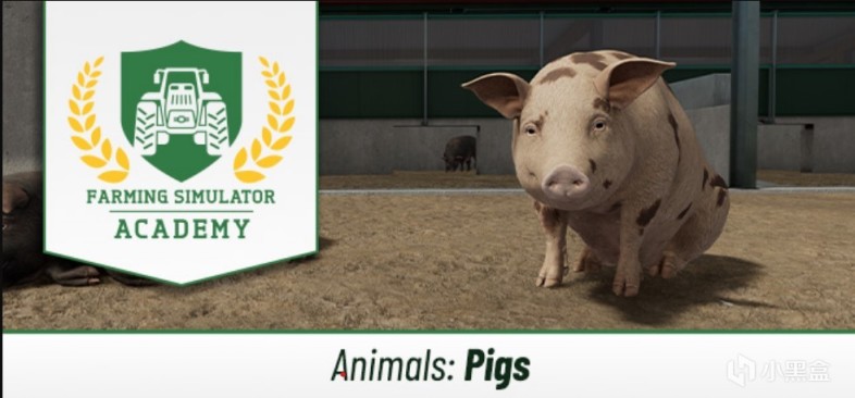 【PC遊戲】農場模擬2022動物篇養豬