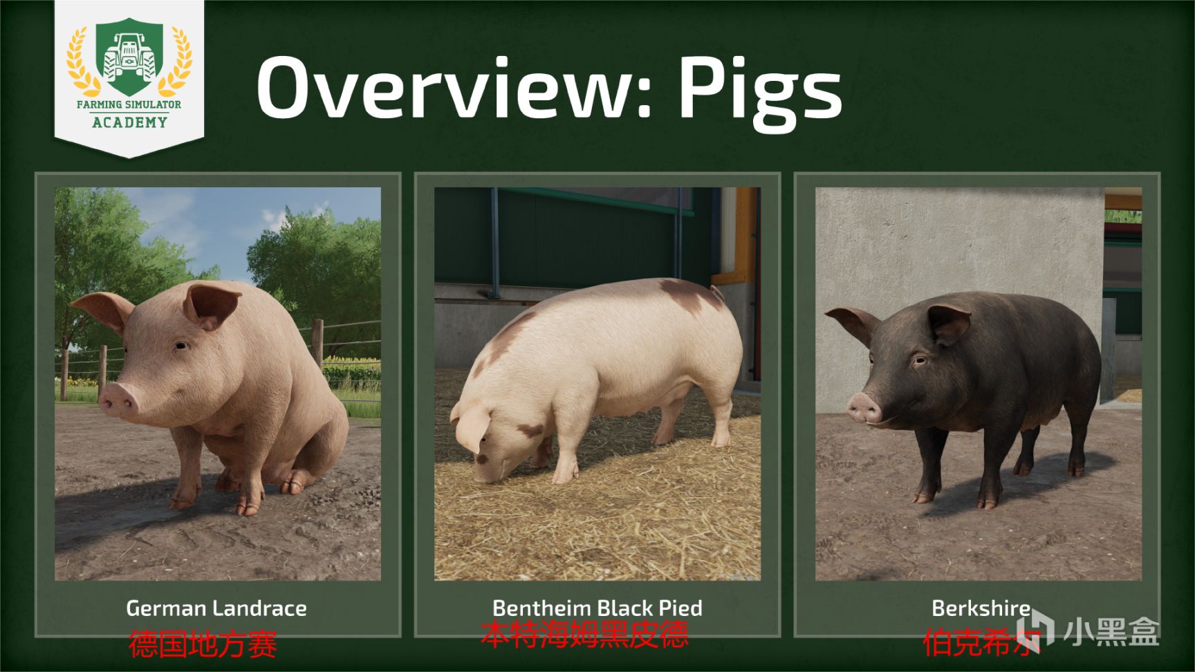 【PC游戏】农场模拟2022动物篇养猪-第1张
