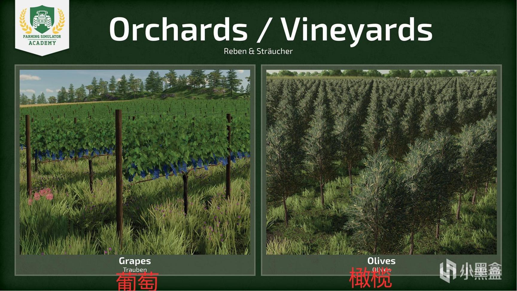 【PC遊戲】農場模擬2022作物類型簡介：概述-第3張