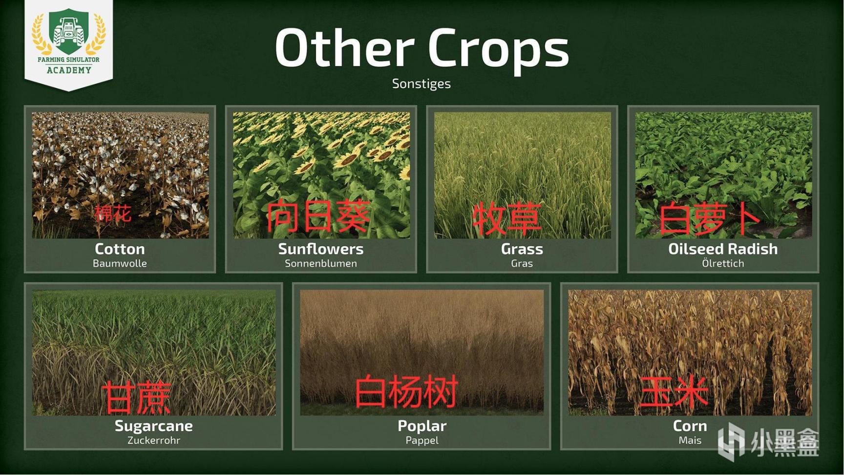 【PC遊戲】農場模擬2022作物類型簡介：概述-第4張