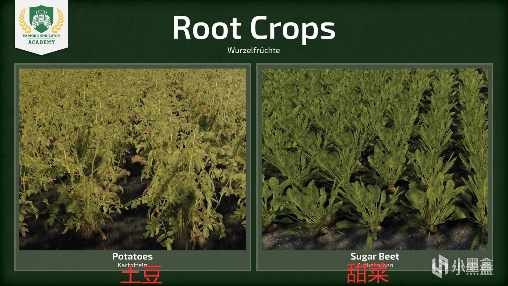 【PC遊戲】農場模擬2022作物類型簡介：概述-第2張