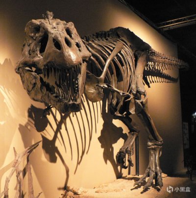 《恐龙化石猎人》：古生物学家模拟器，硬核上手-第2张
