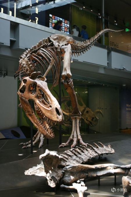 《恐龙化石猎人》：古生物学家模拟器，硬核上手-第22张