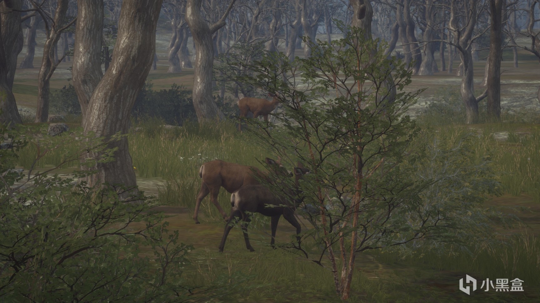 【PC游戏】一杯茶一包烟，一只驼鹿追一天，欢迎来到猎人的世界！-第0张