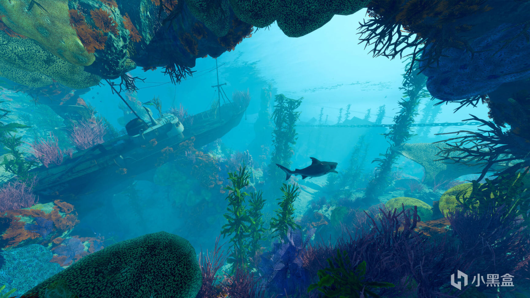 【PC游戏】Epic商店限时领取《食人鲨 Maneater》，下周将送出《Supraland》-第2张