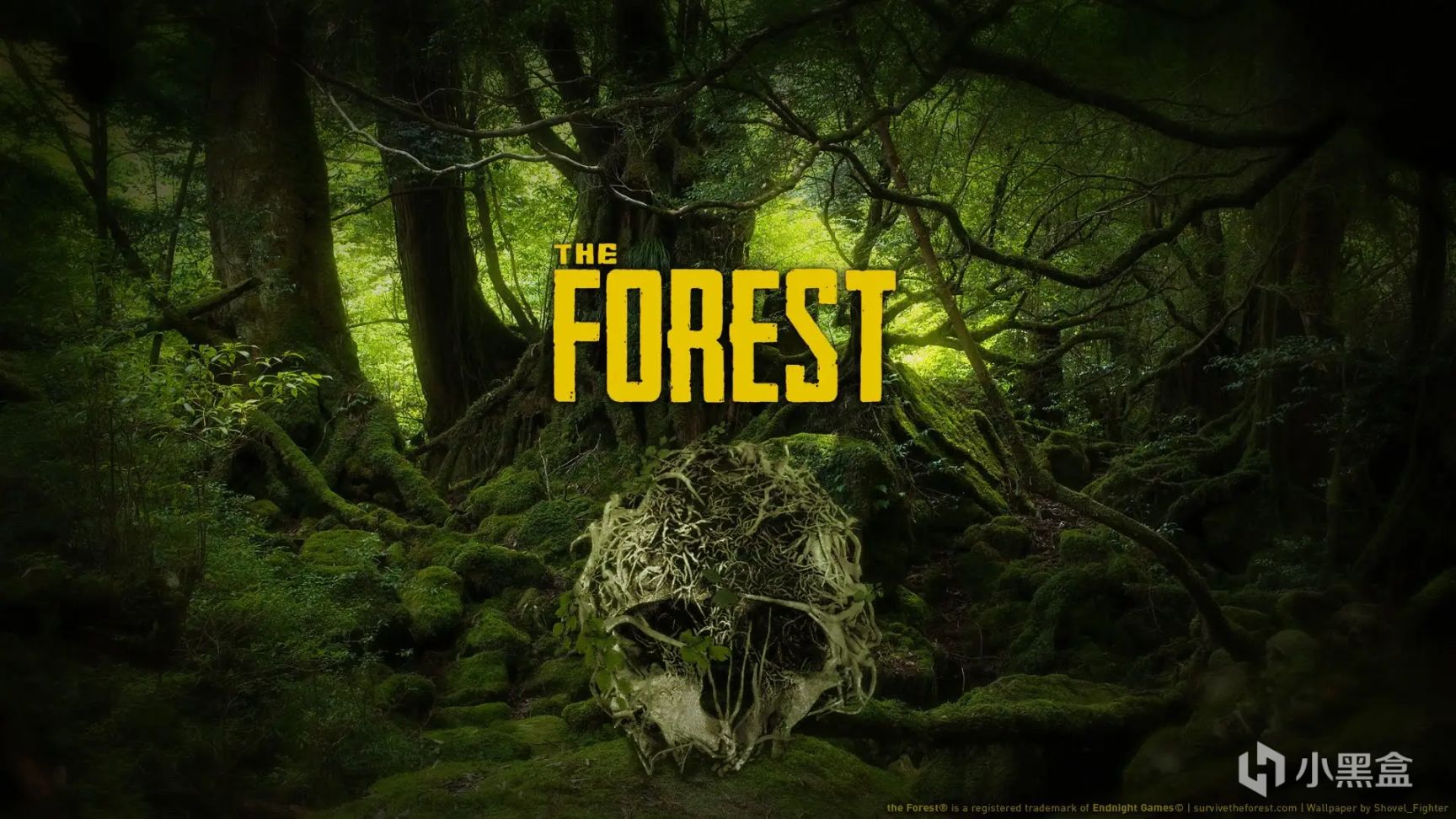 【Steam夏促】讓櫃子動起來！給這個炎熱的夏天多一絲“背後發涼”-第8張