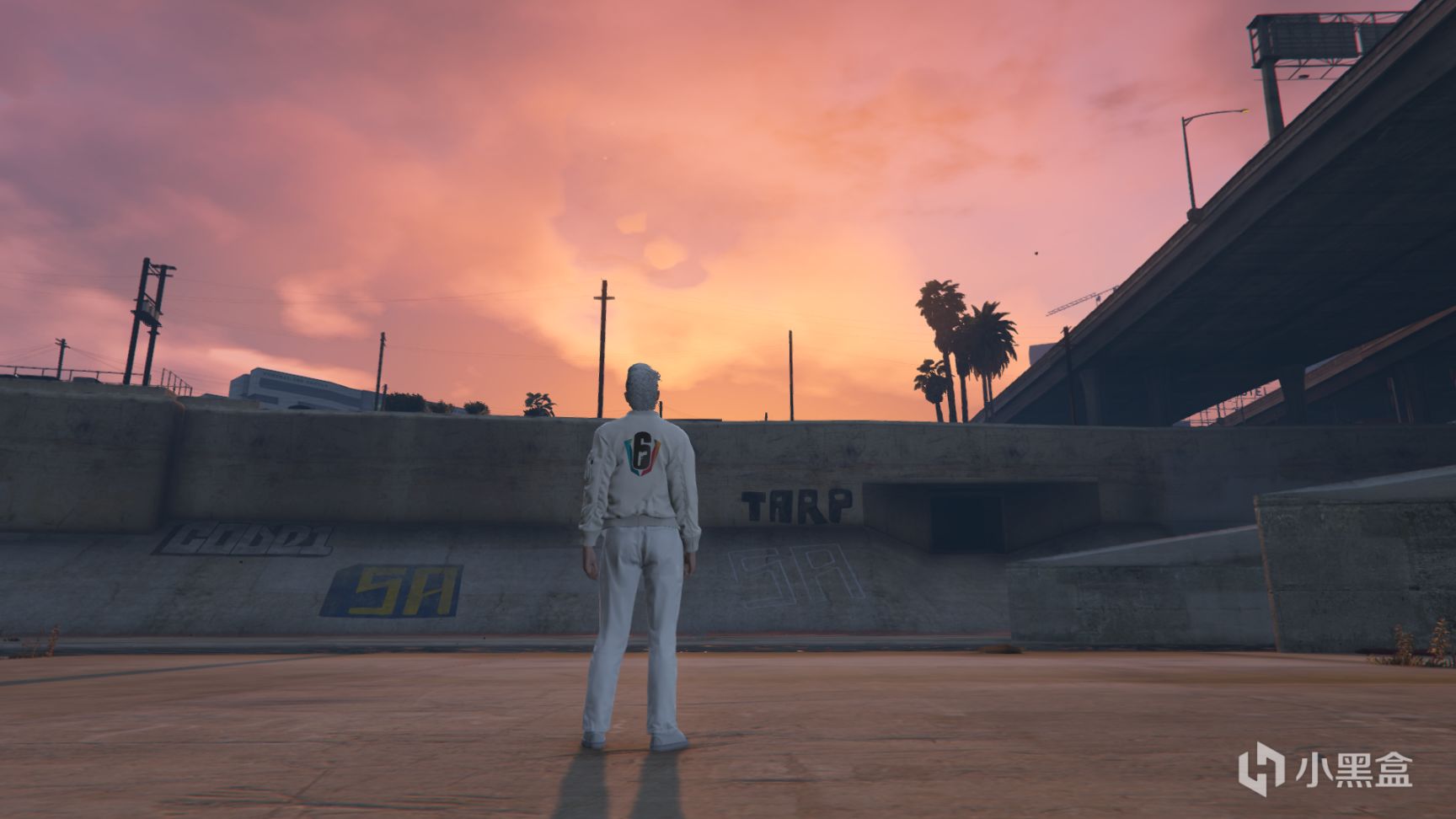 【俠盜獵車手5】GTA5線上服裝搭配推薦："彩虹六號"超酷套裝〔第五期〕-第0張